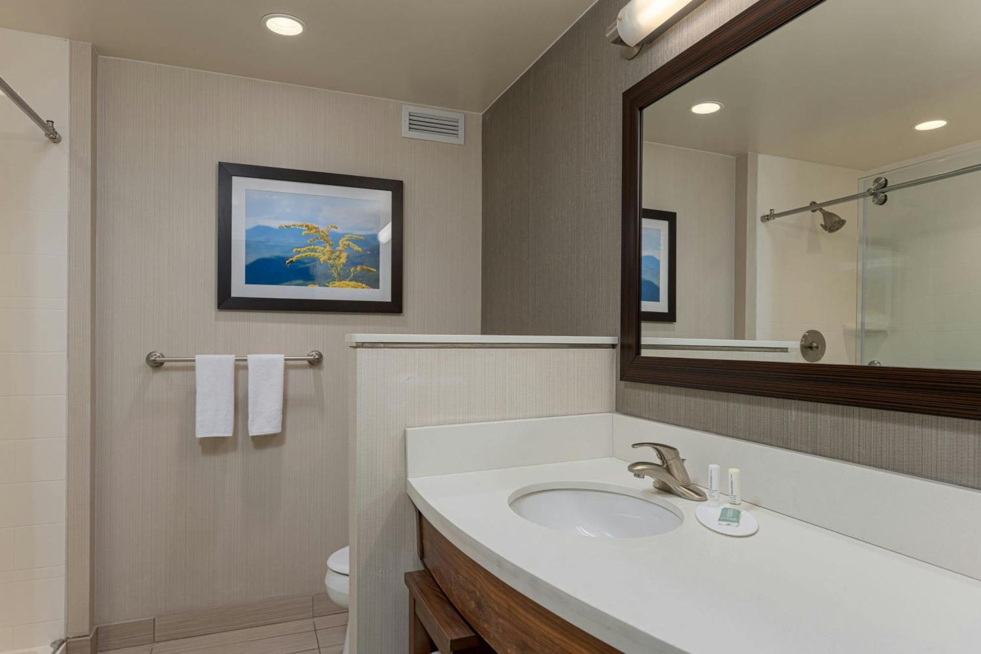 Courtyard By Marriott Asheville Airport Fletcher Exterior photo